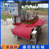 大型巖板倒角機瓷磚倒角磨邊機精工制造廠家銷售
